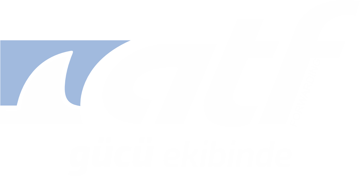 N-Card Logo